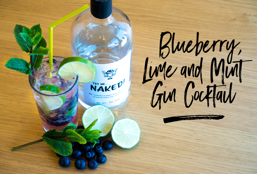Blueberry, Lime and Mint Gin Cocktail Recipe